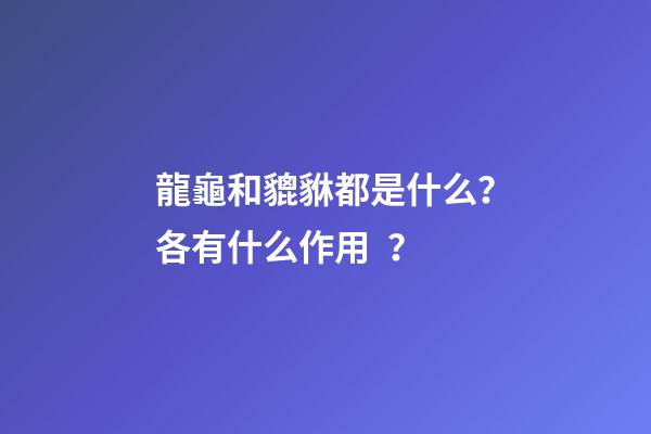 龍龜和貔貅都是什么？各有什么作用？